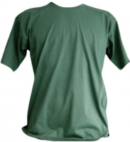verde_musgo.jpg